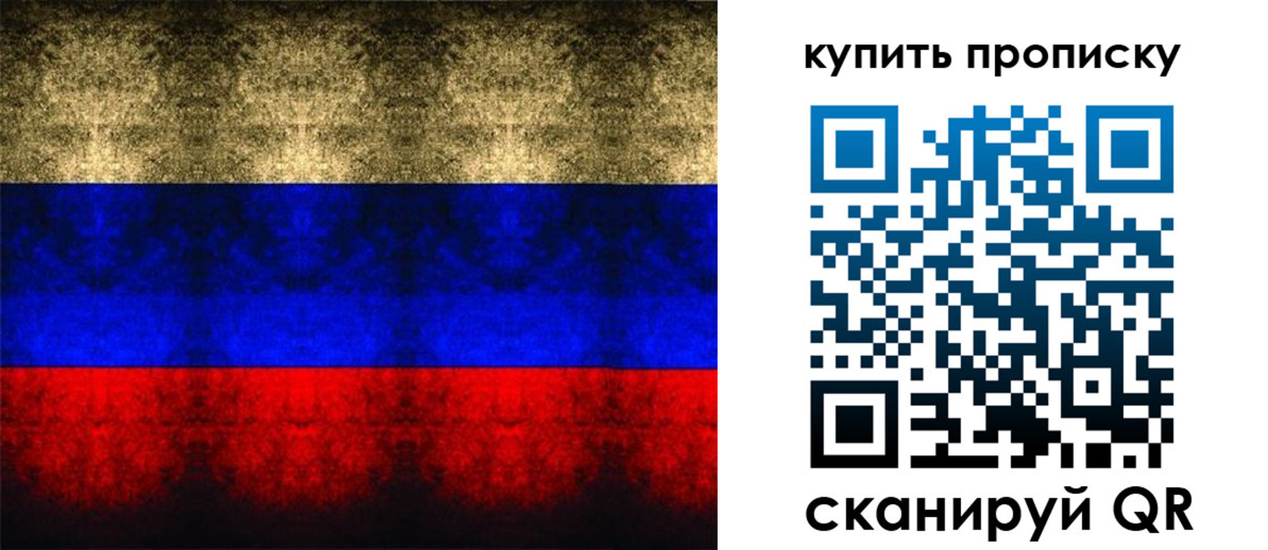 прописка в Судогде